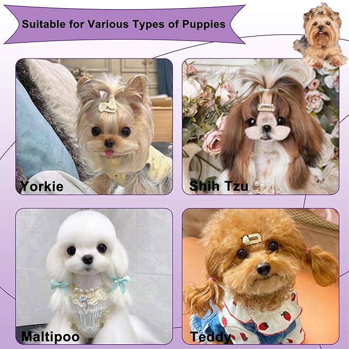 Gentle Grooming Puppy Brush with Gift Box ， Fit for Small Dog ， Yorkie, Shih Tzu, Maltipoo, Maltese and Pomeranian ，Toy Poodle Accessories, Soft Bristle (Glitter Purple)
