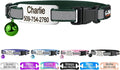 GoTags Personalized Reflective Cat Collars with Tag, Engraved Custom with Name and Phone, Breakaway Collar with Safety Buckle and Bell, Adjustable for Cats and Kitten, (Hunter Green with Nameplate)