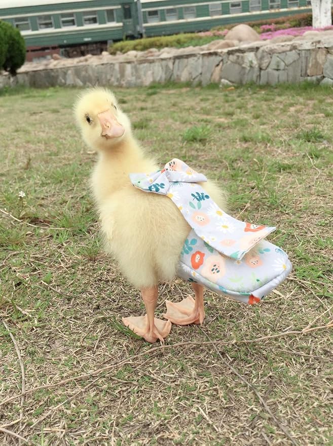 Poultry Diapers, Waterproof, Adjustable, Washable & Reusable - Duck, Chicken & Goose Supplies (2XL:450g-600g)
