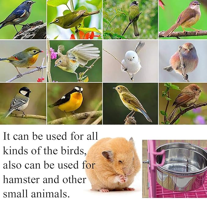 PINVNBY Stainless Steel Food Bowls for Birds,Bird Feeding Dish Cups Parrot Water Feeder Bowl with Clamp Holder Paw Grinding Perches for Budgies Parakeet Macaw Small Animal(5 Pack)