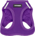 Best Pet Supplies Voyager Step-in Air Harness - All Weather Mesh, Reflective, No Pull Harness for Dogs, Cats - Secure with Hook & Loop Fastener, Buckle, Double D-Rings - Purple, XL