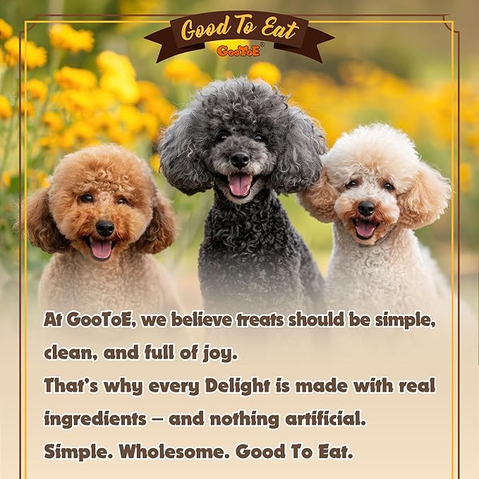 Gootoe Turkey Tendons for Dogs – All-Natural, Hypoallergenic Dog Treats, Rawhide Alternative, Long Lasting Puppy Chews, Healthy Dog Treats for Small Breeds, Pretzel (S), 6 Count Pack