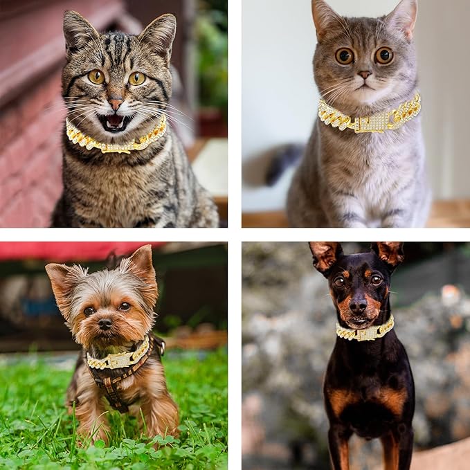 Amabro Cat Chain Collar, Diamond Cuban Link Kitten Walking Collar with Secure Buckle 12mm Wide Pet Rhinestones Necklace Metal Chain Jewelry Accessories for Cats Dogs Kittens Puppies 8inch(Gold)