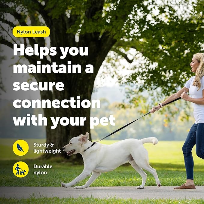 PetSafe Nylon Leash - Helps Maintain Secure Connection on Walks - Durable Pet Leash with Easy Clip - 1 in. x 4 ft. - Black