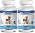 Vitamins for Dogs Immune System - Dog Ultra Vitamins - Minerals - Essential NUTRIENTS - Premium and Natural - Dog Calcium Chews - 2 Bottles (180 Chews)