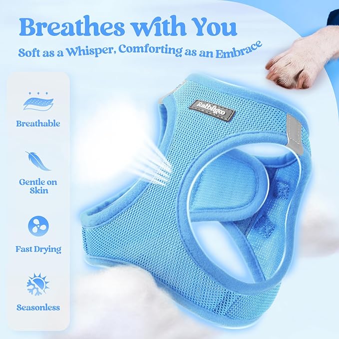 rabbitgoo Dog Harness Small Sized and Leash Set, Step in Soft Light Puppy Vest, Breathable Mesh Pet Harness, Reflective for Safe Easy Walking, Blue XXXS