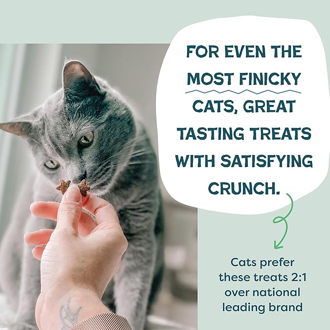 Shameless Pets Crunchy Cat Treats - Kitty Treats for Cats with Digestive Support,Natural Ingredients for Kittens,Healthy Flavored Feline Snacks - Variety Pack,(Pack of 6)