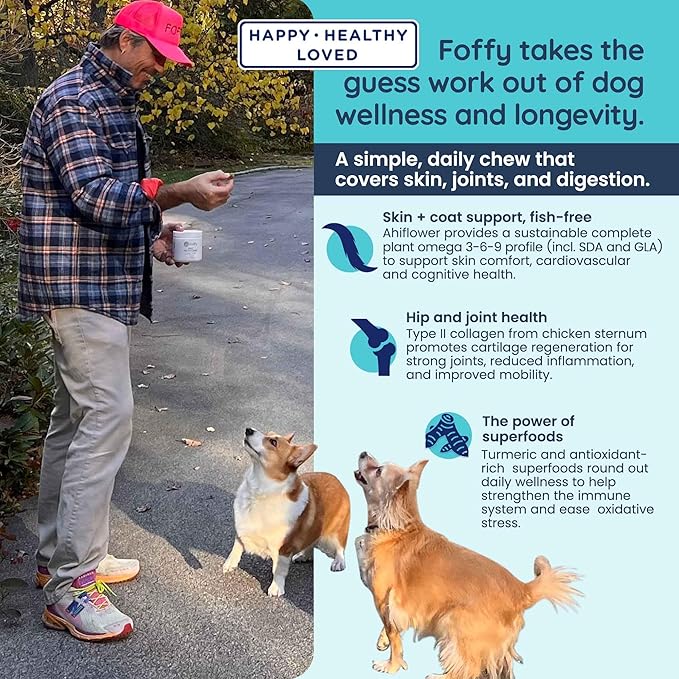 Daily Hip & Joint Multivitamin Soft Chew for Dogs with Superfoods, Probiotics, Plant-Based Omegas, kollaGen II-xs - Calms Skin, Reduces Inflammation, Improves Mobility & Promotes Longevity