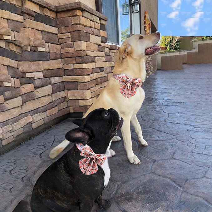 Unique style paws Dog Collar with Tie Adjustable Pink Bowtie Puppy Collars for Small Medium Large Dogs and Cats-L