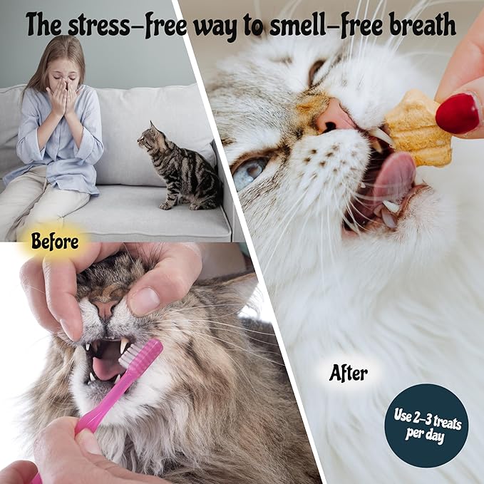 MalsiPree Cat Dental Treats, 32 Count - Freeze Dried Chicken Chews for Cats & Kittens - Fresh Breath & Tartar Control - Star Shape Snack for Cats - High Protein Healthy Snack, Low Calorie Pet Rewards