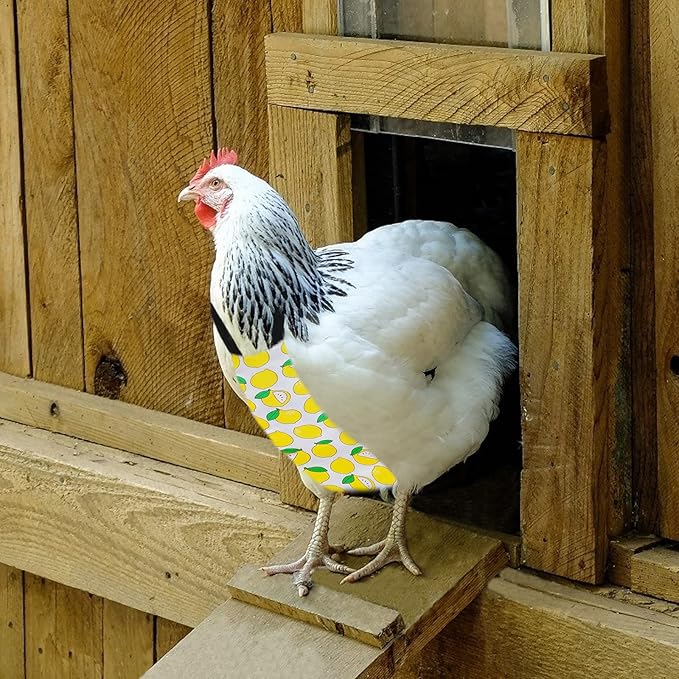 Chicken Duck Goose Diaper Washable Pet Fruit Print Diapers for Hens Roosters Poultry (Lemon, Medium)