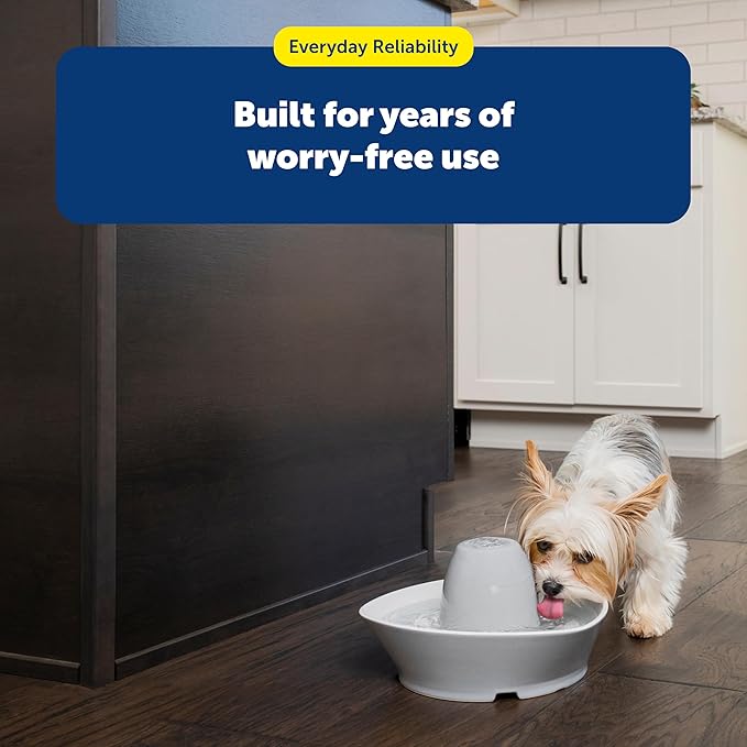PetSafe Drinkwell Replacement Foam Filters - Improves Water Cleanliness - Protects Pump - Catches Hair & Debris - Compatible with Ceramic, Stainless, & Plastic Pet Fountains
