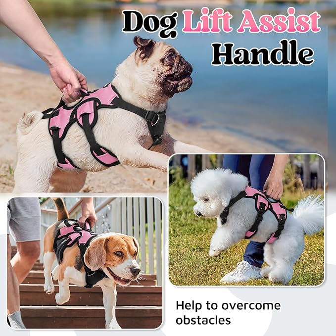 rabbitgoo Escape Proof Dog Harness Small Sized Dog, Soft Padded Full Body Pet Harness, Reflective Adjustable Vest with Lift Handle and Leash Clip for Walking Hiking Training, Light Pink, S