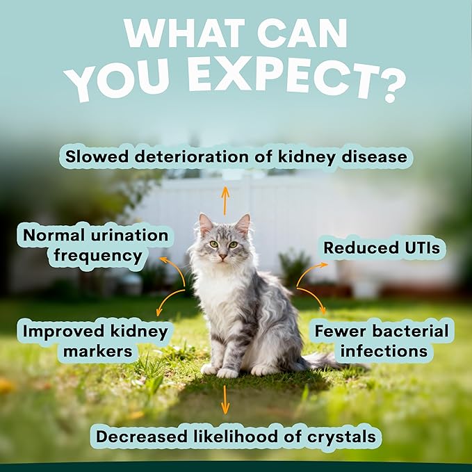 Urinary and Kidney Powder Supplement for Cats - Cranberry, Nettle Seed, D-Mannose for Cat UTI Treatment, Urinary Tract Health, and Kidney Care - Fast UTI Relief & Prevention - 60 Scoops
