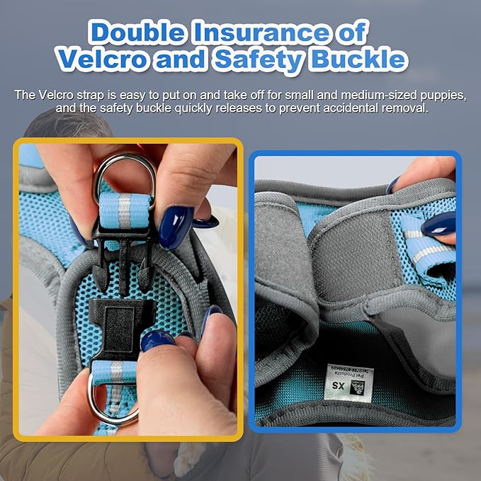 Dog Harness Medium Sized Dogs, Puppy Harness and Leash Set for Training, Running, Walking, Suitable for Small and Medium Dog Vest, Blue, L