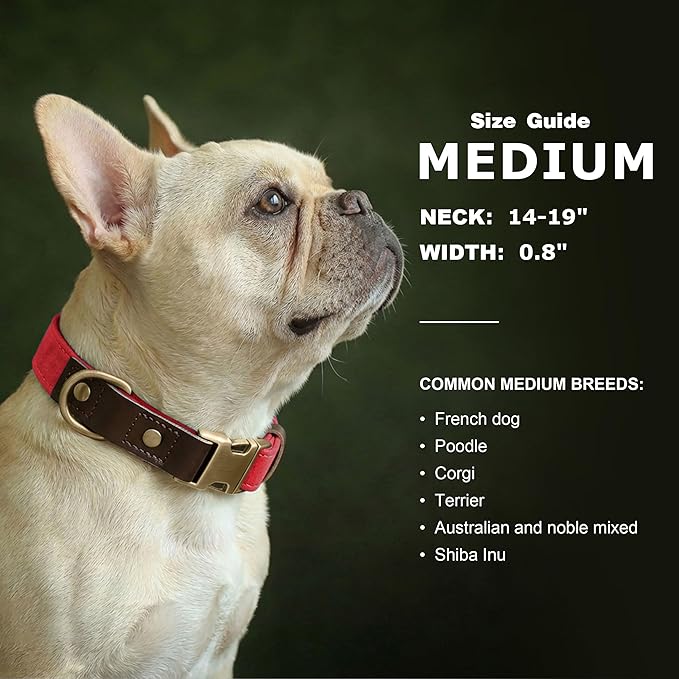 Didog Soft PU Leather Dog Collars for Medium Dogs,Classic Adjustable Dog Collars with Quick Release Metal Buckle,Easy Clean and Comfortable with Nylon Lining,Red,M Neck 14-19"