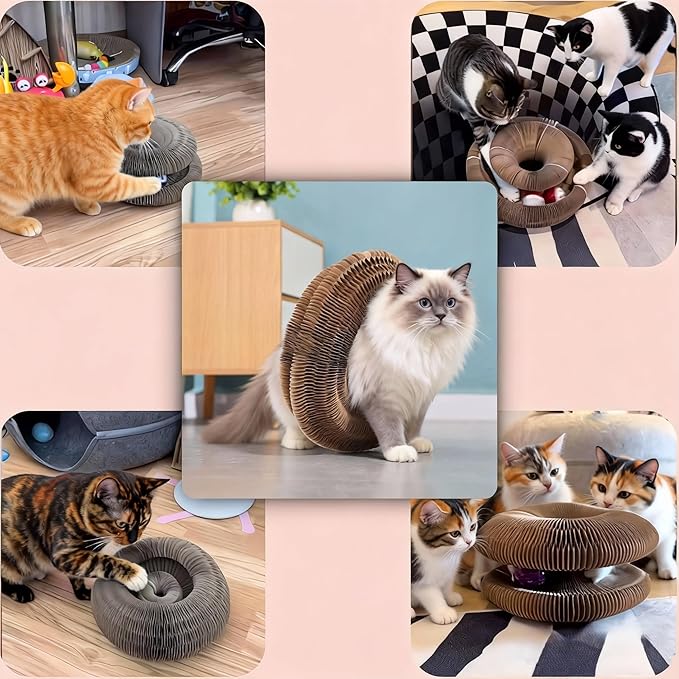 Cat Scratcher Interactive Foldable Magic Organ Indoor Toys for Cats Claw Care Twisty Paws Cardboard Cat Toy with Balls Bells