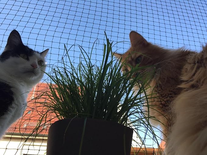 Cat Netting Balcony 10 * 33ft Pet Mesh Fence for Balcony Black Nylon Balcony Netting for Pets Anti-Fall Cat Net for Balcony and Windows