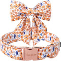 Unique Style Paws Autumn Leaf Collar with Bowtie Blue Leaf Flower Cotton Dog Collars for Small Medium Large Dogs