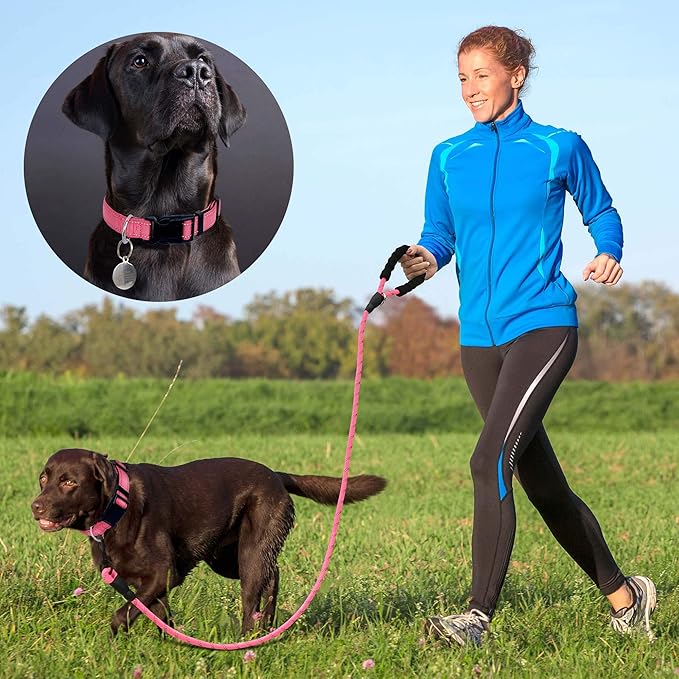 Reflective Dog Collar Padded with Soft Neoprene Breathable Adjustable Nylon Dog Collars for Small Medium Large Dogs (X-Small (Pack of 1), Pink Collar+Leash)