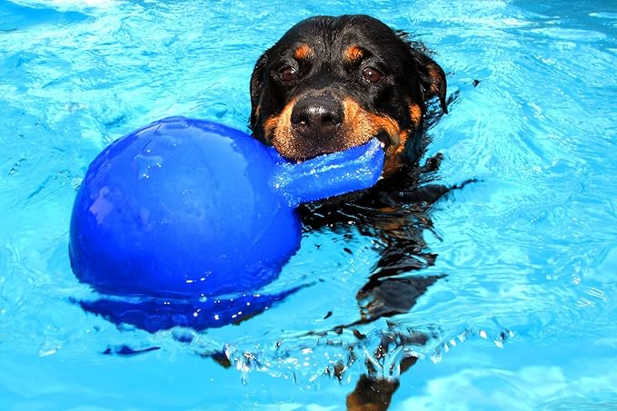 Jolly Pets Tug-n-Toss Heavy Duty Dog Toy Ball with Handle, 4.5 Inches/Small, Blueberry, JP445BLUEBERRY
