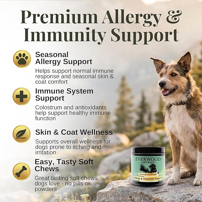 Premium Allergy & Immunity Support Soft Chews for Dogs – Colostrum, Plasma Proteins, Yeast & Vitamins C & E – Dog Immunity & Allergy Supplement – 60 Soft Chews