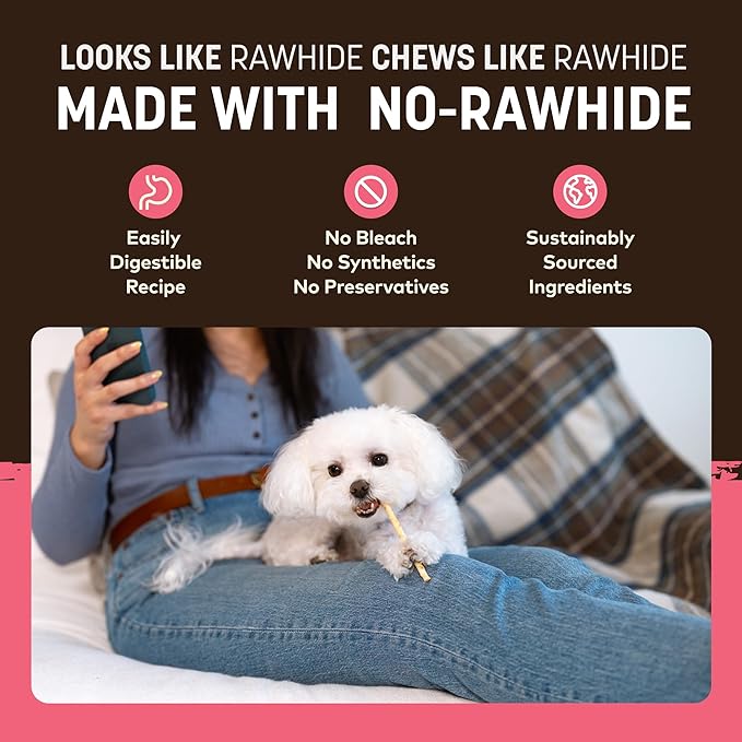 Earth Animal No Hide Stix - Long Lasting Rawhide Free Small Dog Chews Sticks, Salmon - 10 Count