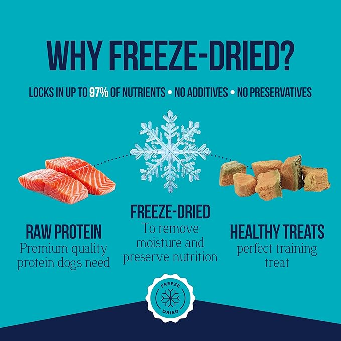 Stewart 100% Wild Salmon Dog Treats, 9.5 oz Tub, ~190 Pieces, Freeze Dried Raw, Single Ingredient, 65% Protein Training Treats or Meal Topper, Grain Free, Gluten Free