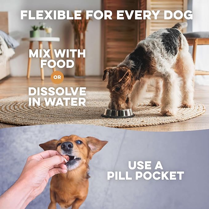 Dog Mange Support and Natural Dog Itching Relief for Canine Coat Issues & Puppy Mange, Soothes Dry Itchy Scaly Skin, Welts & Scabs - Helps Restore Fur Loss (Easy Use 400 Tiny Pills)