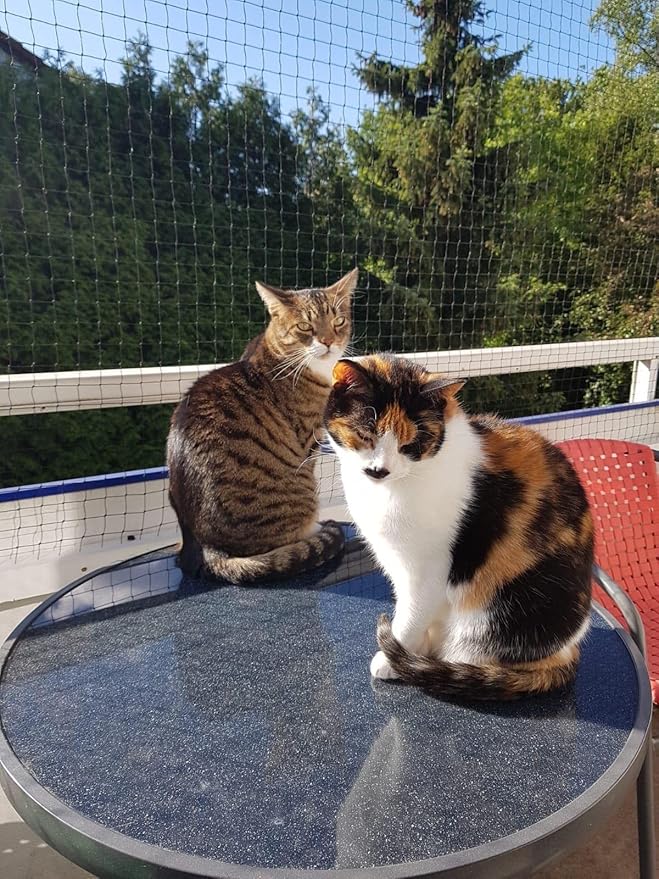 Cat Netting Balcony 10 * 33ft Pet Mesh Fence for Balcony Black Nylon Balcony Netting for Pets Anti-Fall Cat Net for Balcony and Windows