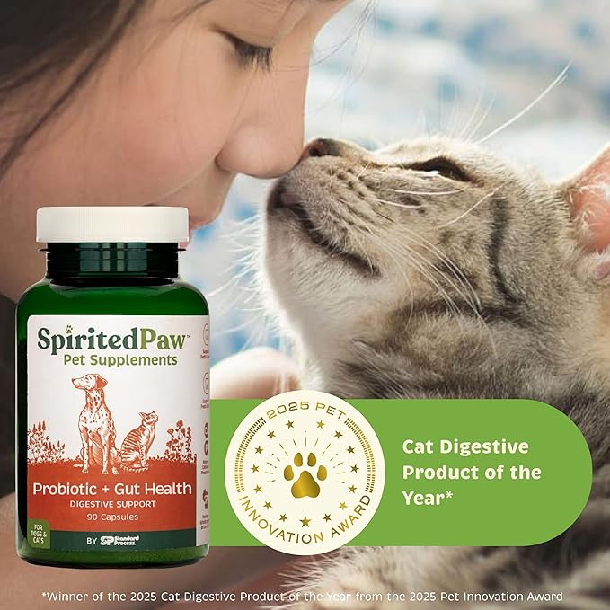 Spirited Paw Probiotic + Gut Health - Digestive & Immune Support for Dogs & Cats - Prebiotic, Probiotic & Postbiotic Pet Care Blend with Organic Buckwheat & Chicory Root Fiber - 90 Capsules