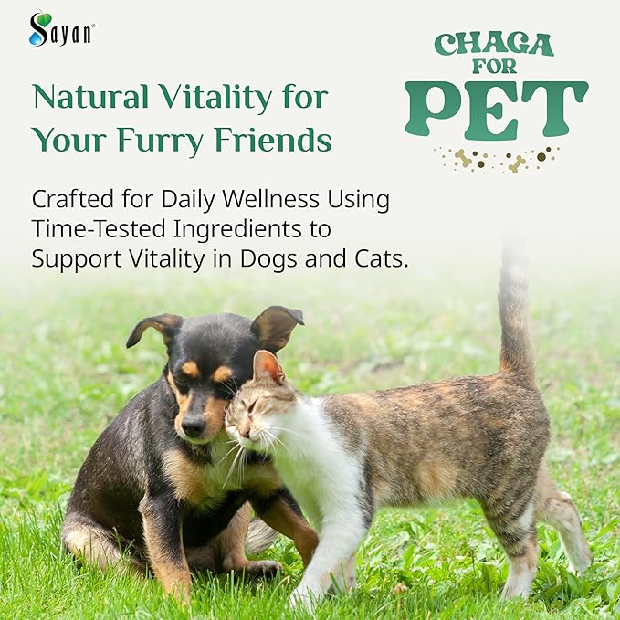 Sayan Chaga + Shilajit Pet Supplement (30 Sachets) – All-Natural Adaptogen Blend for Dogs & Cats – Immune, Joint, Energy & Digestive Support – Herbal Blend – 100% GMO-Free, Vet-Formulated