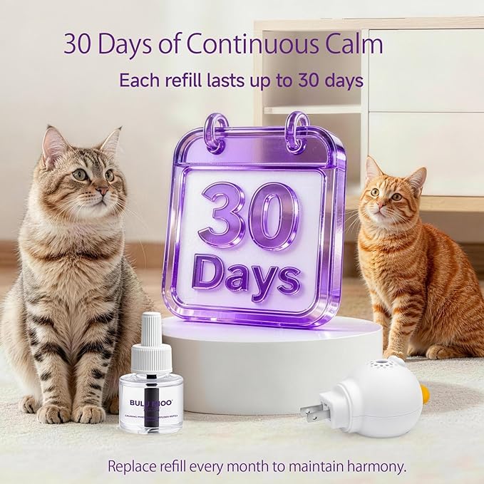 Cat Calming Pheromone Diffuser Kit (30-Day Starter) – 1 Diffuser + 1 x 48ml Refill – Helps Reduce Urine Spraying, Scratching & Fighting – Unscented Stress Relief for Single Room