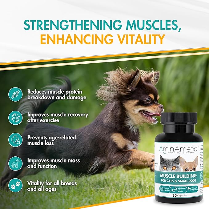 Muscle Support Pet Supplement for Small Dogs & Cats with CaHMB & Vitamin D3 – All Ages & Senior Dog Supplements for Muscle Strength, Mobility & Daily Activity – (30 Capsules)
