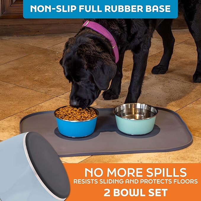 Master Pet Supply Stainless Steel Dog Bowls Set of 2 (32 Oz Each) with Non-Slip Rubber Base - Glacier Blue - Basic Dog Food Bowl Water & Food Bowls for Small Medium Large Dogs & Cats, Metal Dish