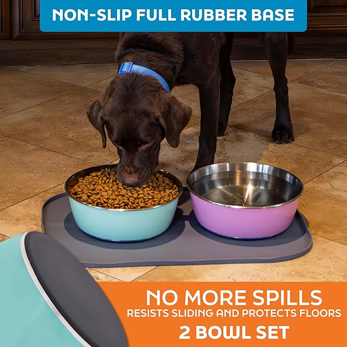 Master Pet Supply Stainless Steel Dog Bowls Set of 2 (128 Oz Each) with Non-Slip Rubber Base - Aqua Sky - Basic Dog Food Bowl Water & Food Bowls for Small Medium Large Dogs & Cats, Metal Dish