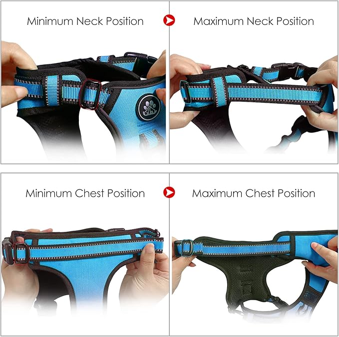 NESTROAD No Pull Dog Harness,Adjustable Oxford Dog Vest Harness with Leash,Reflective No-Choke Pet Harness with Easy Control Soft Handle for Small Dogs(X-Small,Blue)