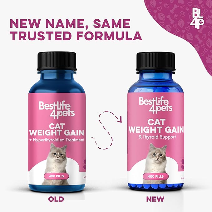 Cat Hyperthyroid & Gentle Weight Gain Support for Cats and Kittens - Natural Feline Thyroid Balance for All Ages in Odorless Easy to Use Tiny Pills That Improve Appetite, Coat & Energy (400 Pills)