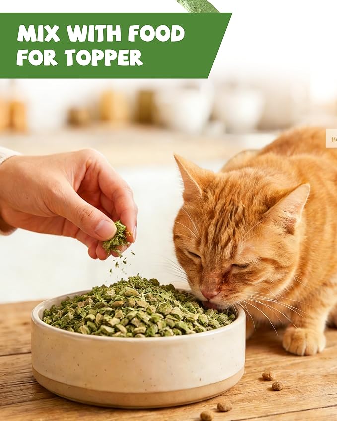PAWUP Freeze Dried Chicken Cat Treats, Cat Grass Added, High-Fiber Hairball Care & Digestive Support Snacks for Indoor Cats, 3.8oz