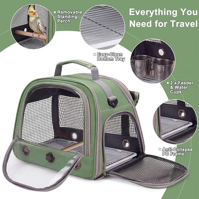 Bird Carrier, Lightweight Breathable Bird Backpack, Portable Wild Bird Carrier with Standing Perch for Parrot Travel Vet Visit (Green)