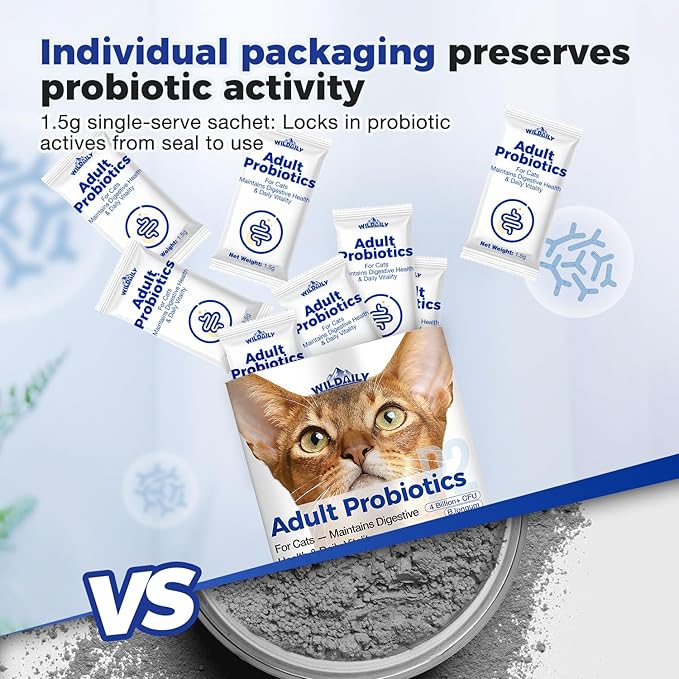 Cat Probiotics Gut – Constipation Relief – Supports Immunity, Regularity, & Healthy Digestion, 30-Day Supply (Adult Formula)