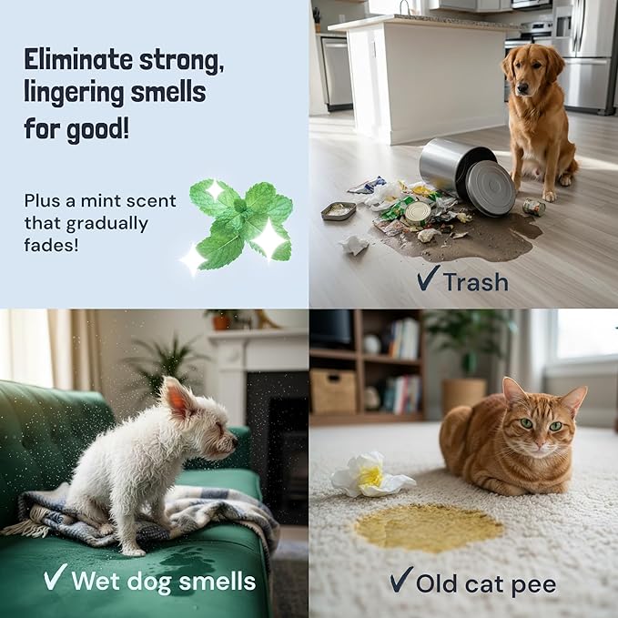 Sunny & Honey Pet Stain & Odor Miracle - Fast Acting Carpet Cleaner - Enzyme Spray for Carpets, Mattresses & Upholstery - Rug Shampoo - Dog Pee Cleaner & Surface Odor Remover (32 fl oz, Spring Mint)