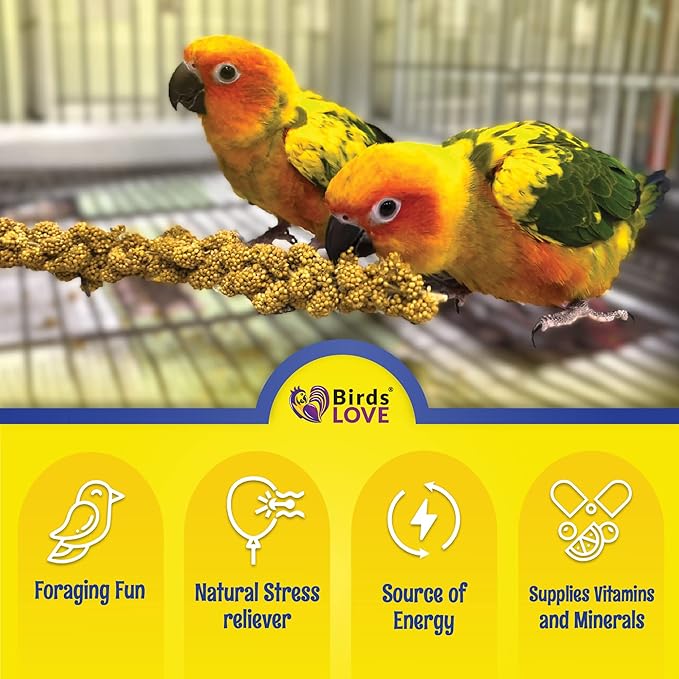 2lbs Economy & Special Spray Millet for Birds – GMO-Free, No Stems (Only Edible Tops) – 100% Natural Sun-Dried Foraging Treat for Cockatiels, Lovebirds, Parakeets, Finches & Canaries