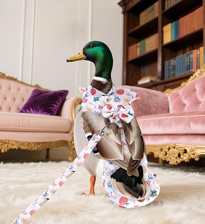Chicken Diapers for Hens, Roosters, Diapers for Ducks with Walking Leash, Reusable Pet Duck Diapers Chick Clothes Waterproof Poultry Nappies for Geese Pet Ducks Chicken-Mushroom, S