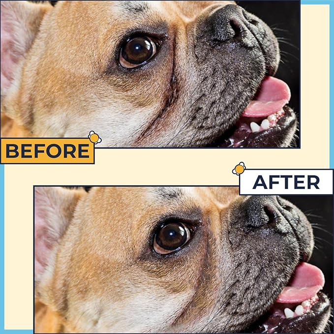 Paste for Bulldogs Wrinkle 2oz - Wrinkle Cream for Dogs, English Bulldog, Frenchie, Pug - Cleans Rashes,Tail Pockets, Dry Skin & Paws (Made in USA)