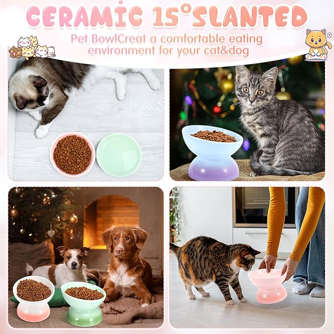 Hushee 4 Pcs Ceramic Raised Cat Food Bowls Elevated Tilted Dish Anti Vomiting Food or Water Bowls Pet Supplies