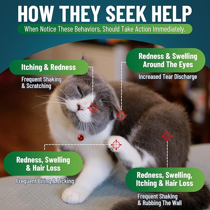 Cat Allergy Relief for Cats, 200 Cat Itchy Skin Allergy Relief Chews for Immune Support & Seasonal Allergies, Anti-Itch Relief for Cats Paws, Eyes, Ears, Stop Licking & Scratching, Chicken Flavor