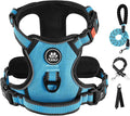 IVY&LANE No Pull Dog Harness for Small Dogs, Dog Vest Harness with Leash, Safety Belt and Storage Strap, Fully Adjustable Harness, 360° Reflective Strip, Soft Handle (Blue, S)