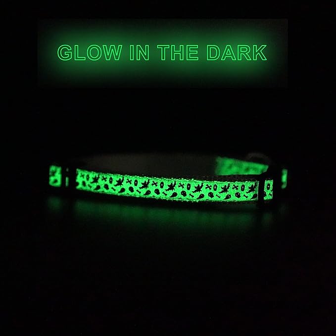 Pawtitas Glow in The Dark Cat Collar with Breakaway Safety Buckle & Bell Adjustable Kitten Collar, Halloween Grey