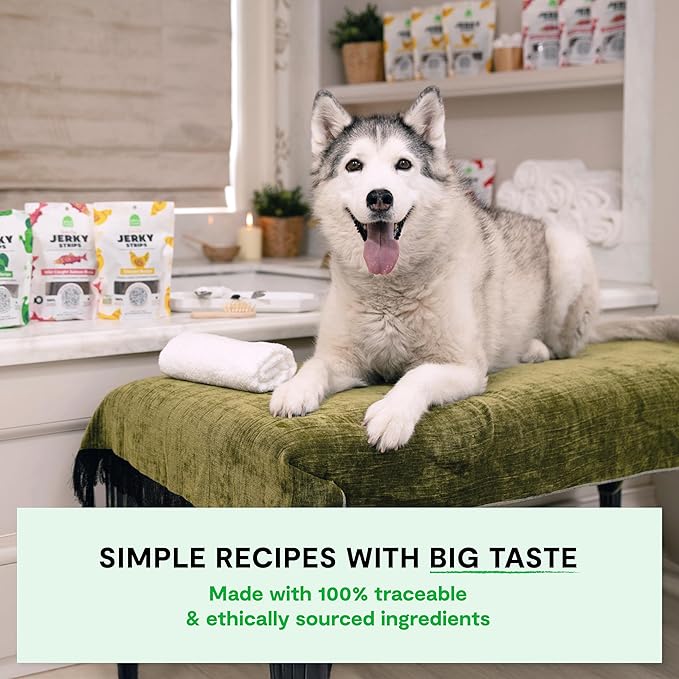 Open Farm, Dog Jerky Treats, Soft & Chewy Oven-Baked Jerky Strips Made with Ethically & Sustainably Sourced Ingredients, Protein Packed Dog Treats, Grain-Free Turkey Recipe, 5.6oz Pouch
